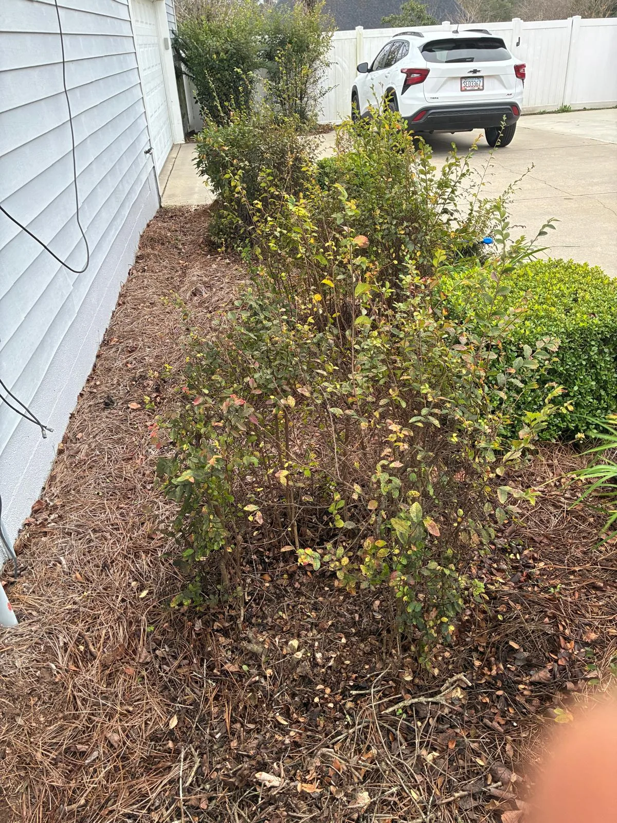 Completed client project 15