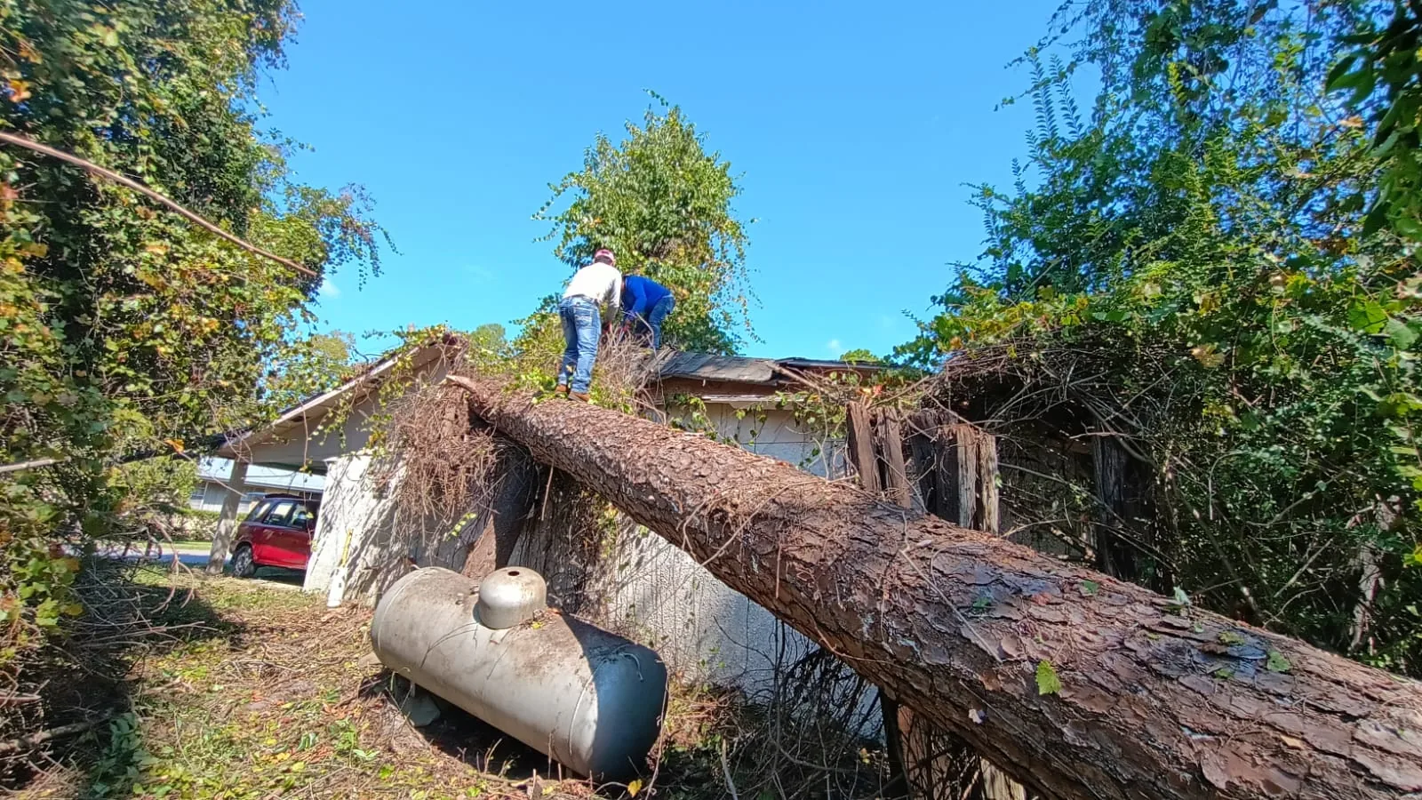 Jose Tree Service project