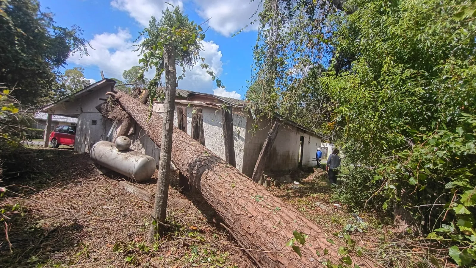 Jose Tree Service project
