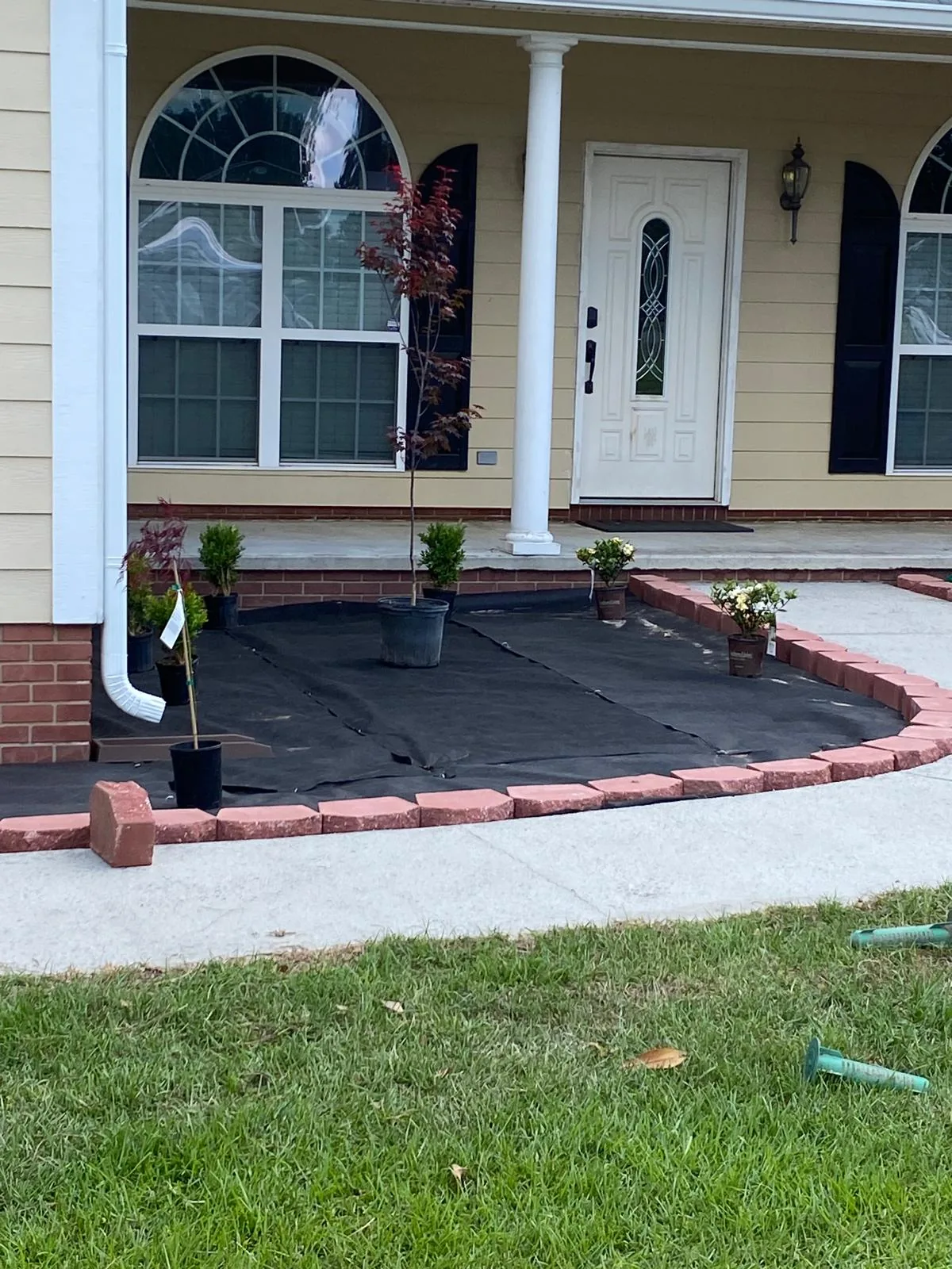 Completed client project 25